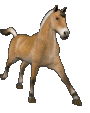 anim13.gif